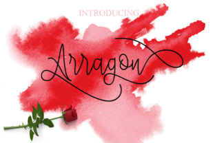 Arragon Font: Testing Modern Calligraphy for Brand Identity