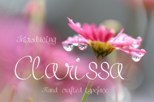 Clarissa Font: Elevate Your Small Business Branding