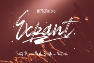 Expant Font: Elevate Digital Campaigns with Hand-Painted Type