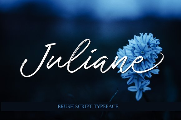 Juliane Font Review: Elevating Campaign Visuals