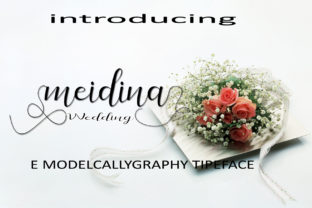 Meidina Font: Adding Warmth to Editorial Design