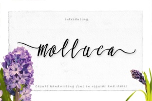 Molluca Font: Elevating Digital Marketing Visuals