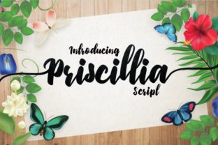 Priscillia Font: A Web Designer’s Layout Review