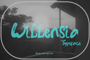 Willensia: A Designer’s Take on Modern Script